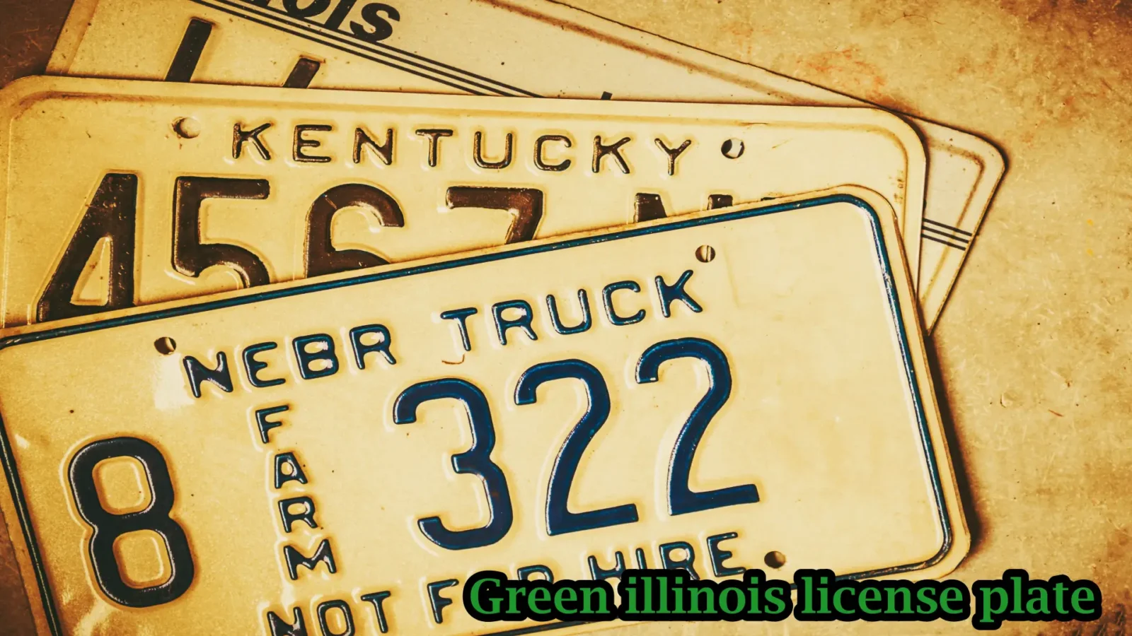 green Illinois license plate, including how to get one, the cost, rules and regulations, and the process for renewing it.